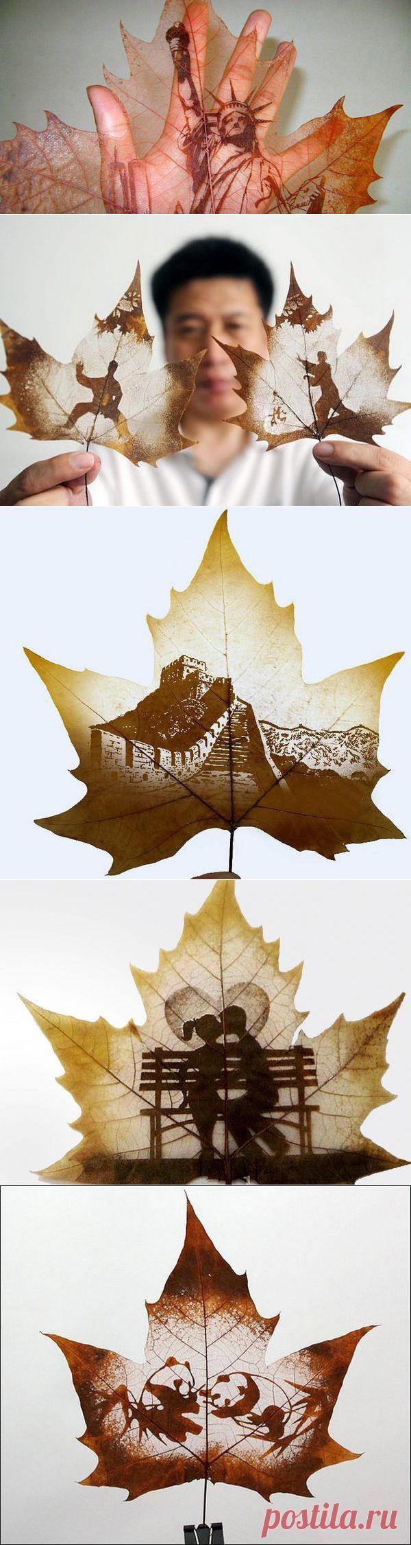 Невероятное искусство — картины на листьях деревьев. Резьба по листьям » Блог позитива