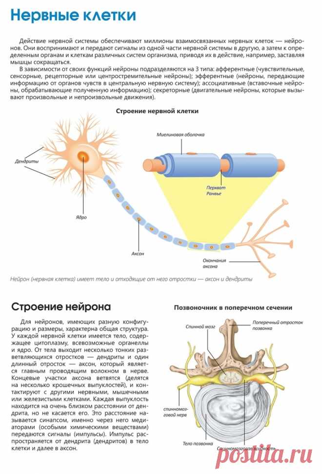 nwYv3UUuDdA.jpg (734×1080)