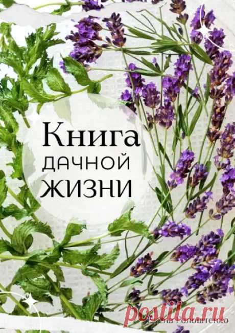Книга дачной жизни - книга о том, как устроена природа - Домовёнок-Арт