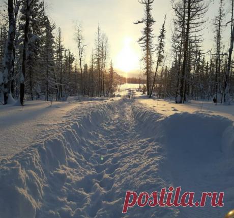 Север Красноярского края. Туруханский район. Участок пути Бор - Бахта.