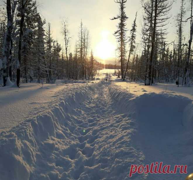 Север Красноярского края. Туруханский район. Участок пути Бор - Бахта.
