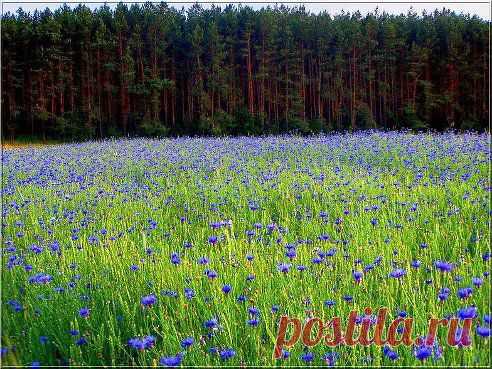 100 чудес света. Добавлена фотография в альбом Косогоры, поля, перелески...