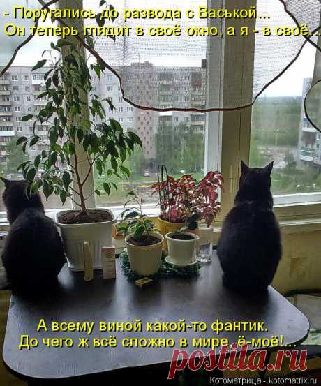 Котоматрица: Главная