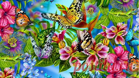 Бабочка проснётся летом