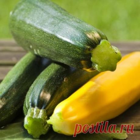Что можно сделать с урожаем кабачков?