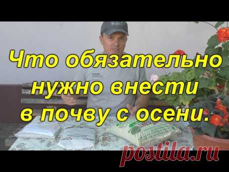 Два удобрения, которые обязательно вносим осенью в почву!