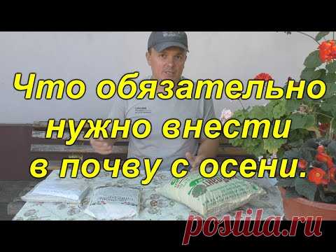 Два удобрения, которые обязательно вносим осенью в почву!