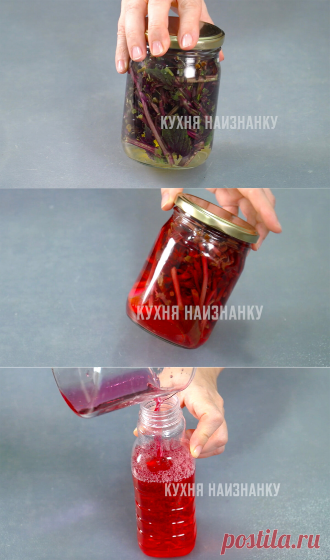 Теперь не выбрасываю обрезки от лимона и стебли базилика: показываю, что я с ними делаю (делюсь небольшой хитростью) | Кухня наизнанку | Яндекс Дзен