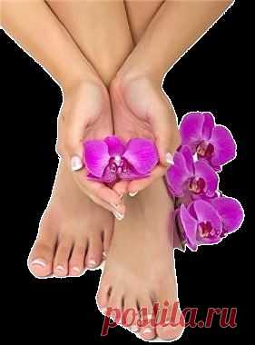 Лечим грибок ногтей и кожи в домашних условиях.