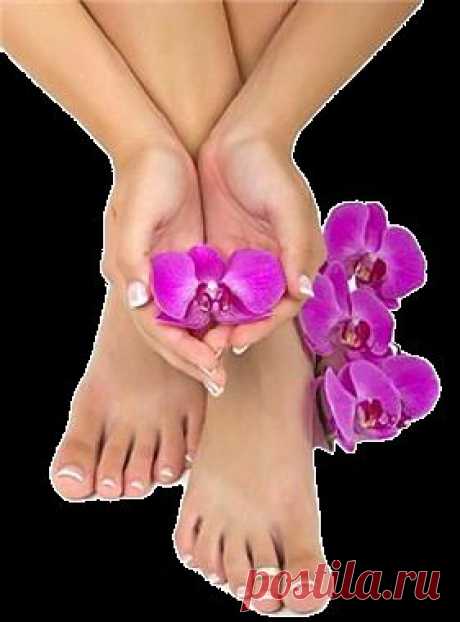 Лечим грибок ногтей и кожи в домашних условиях.