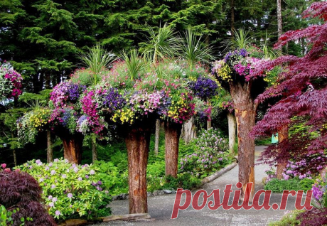 Ботанический сад Glacier Gardens, Juneau, Alaska