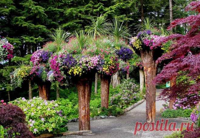 Ботанический сад Glacier Gardens, Juneau, Alaska