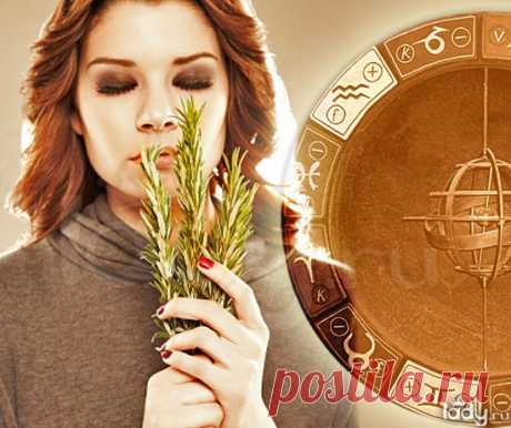 Ароматы соблазна / Все для женщины