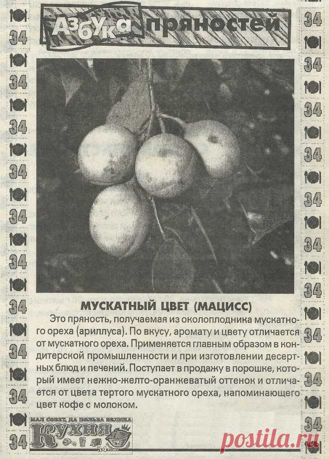 Мускатный цвет (мацисс) - пряность