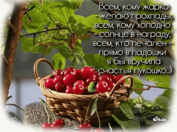 (4) Мой Мир@Mail.Ru
