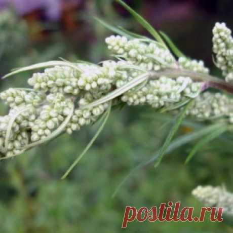 Новости - МирТесен