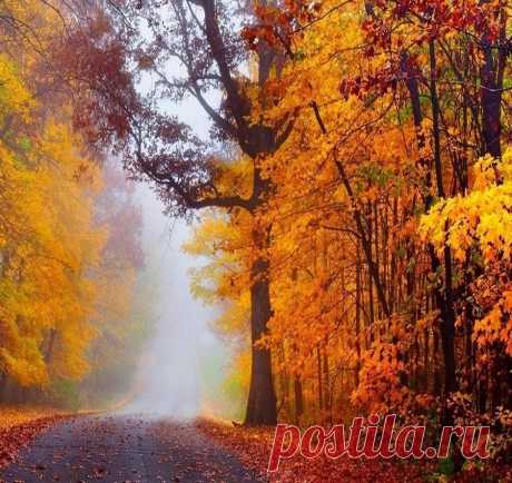 Осеннее утро ...