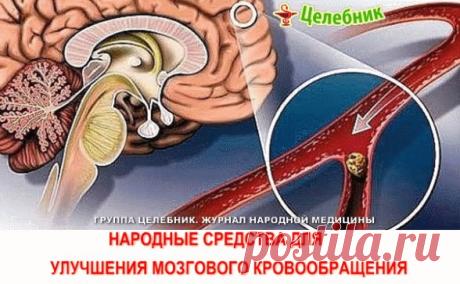 НАРОДНЫЕ СРЕДСТВА ДЛЯ УЛУЧШЕНИЯ МОЗГОВОГО КРОВООБРАЩЕНИЯ