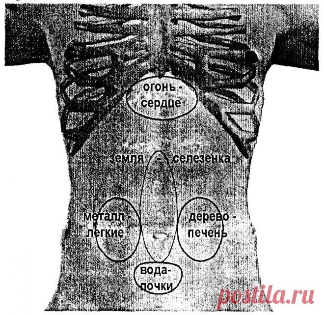 Диагностика особых каналов 1 | ACUPUNCTURU.RU
