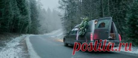 7 черных комедий 2017 года, которые стоит посмотреть • НОВОСТИ В ФОТОГРАФИЯХ