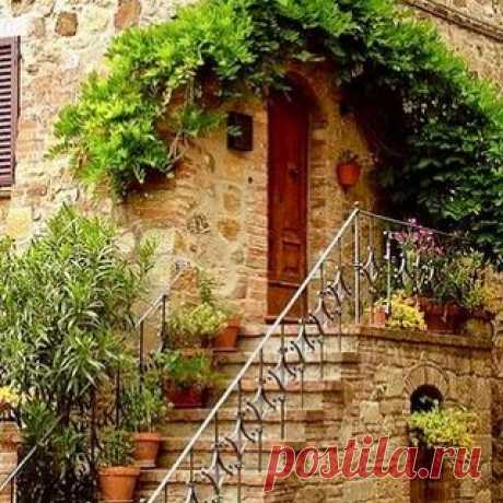 Photo by Regina Rocha Lima on January 21, 2021. May be an image of food, tree and brick wall.