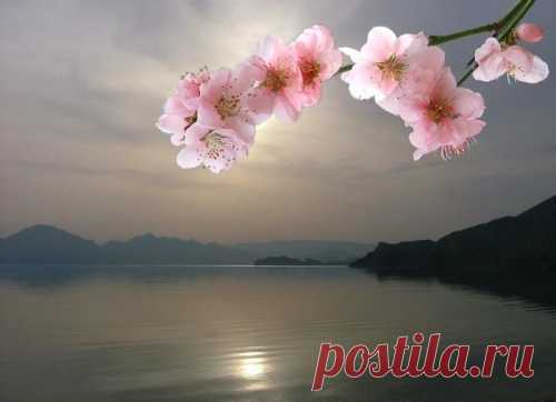 Музыкальная открытка Добрый день!