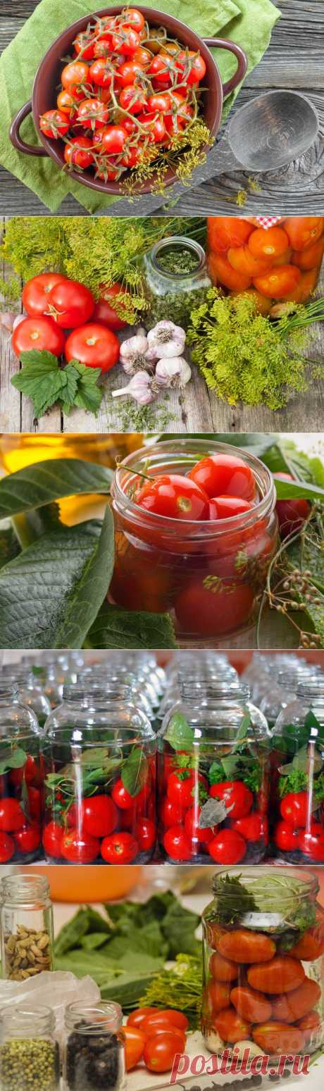 Как консервировать помидоры: советы + рецепт - KitchenMag.ru