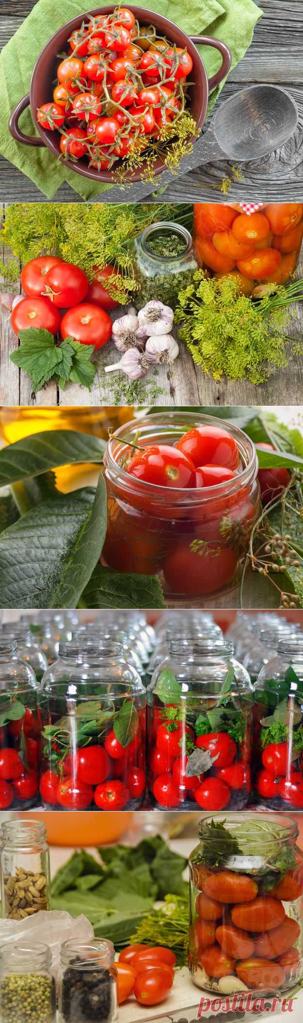 Как консервировать помидоры: советы + рецепт - KitchenMag.ru