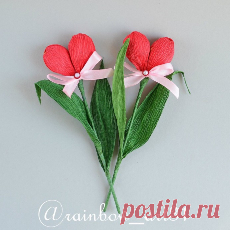 Сладкий тюльпан