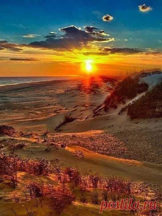 Zulya S - Google+