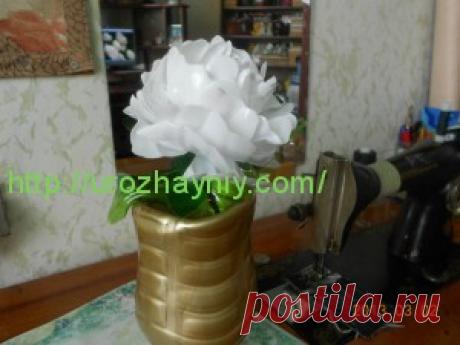 Пион из пластиковой бутылки | Урожайная дача, интернет журнал, все о даче