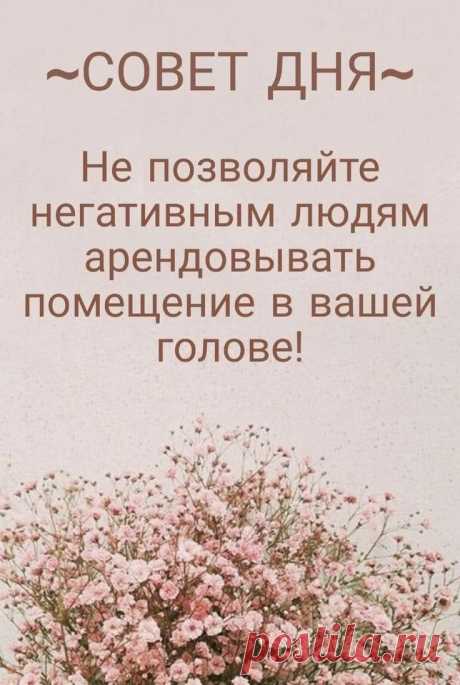 совет дня