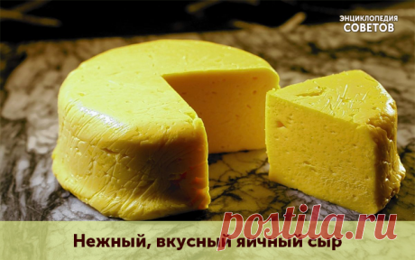 Нежный, вкусный яичный сыр