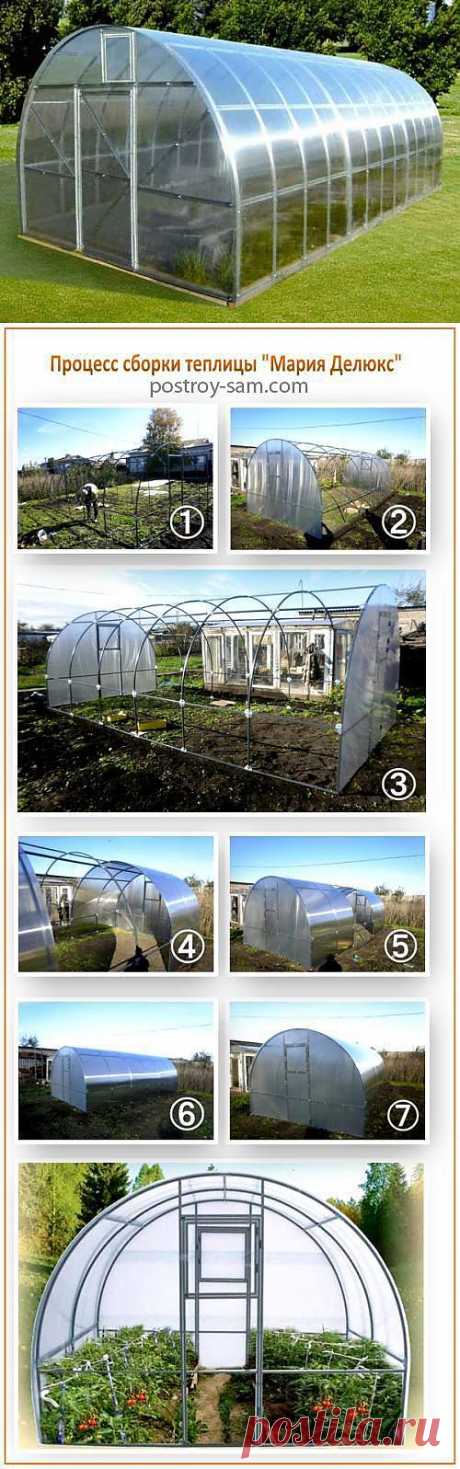Теплица «Мария» и «Мария Делюкс». Схемы сборки