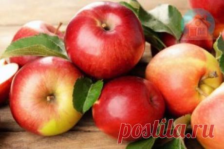 Идеи для Дачи | Дома Самые крупные сорта яблок 

1. Грейнисмит (Granny Smith): Одно из самых известных сортов, отличающееся своей кисловатой и освежающей вкусовой характеристикой. Яблоко крупное, зеленовато-желтое.

2. Джонаголд (Jonagold): Этот сорт яблок выращивается в различных частях мира и имеет крупный размер, сочную текстуру и сладкий, легкий ванильный вкус.

3. Гала (Gala): Ярко-красное яблоко, обладающее сладким вкусом и сочной мякотью. Крупные плоды, которые попу...