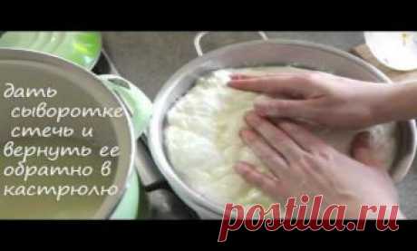 Рецепт моцареллы Гладкий, полумягкий сыр с эластичной текстурой незаменим в итальянской кухне. Истинный сыр Моцарелла создают из молока буйволиц. Но эти животные не пасутся в нашем дворе, поэтому для домашнего приготовления мы воспользуемся коровьим. Главный секрет заключается