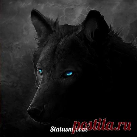 ВЫБЕРИ СЕБЕ СТАТУС [статусы, цитаты, фразы, мысли]