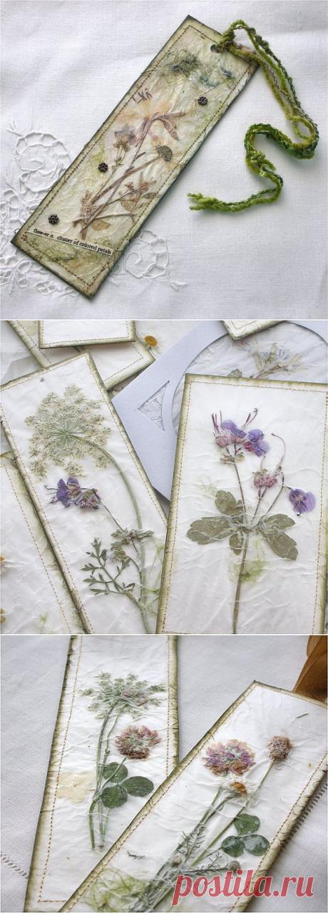 Винтажные закладки с гербарием. Как собрать гербарий. МК.