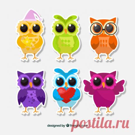 Набор красочных мультяшных совов Более миллиона свободных векторов, PSD, фотографии и бесплатные иконки. Эксклюзивные халявы и все графические ресурсы, которые необходимые для ваших проектов