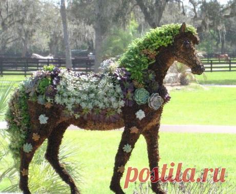 Succulent Horse Topiary Centerpiece Chinese New Year January 31 Year of the…