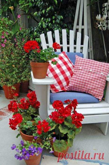 (6) Garden and decor