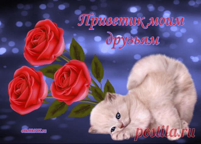 ТАНЮША МУЗЫКАНТОВА - Привет, мой друг, ну как твои дела? ~ Плэйкасты ~ Beesona.Ru