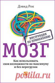 Всё, что нужно знать о мозге