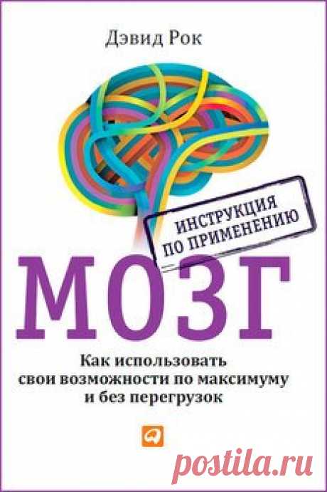 Всё, что нужно знать о мозге
