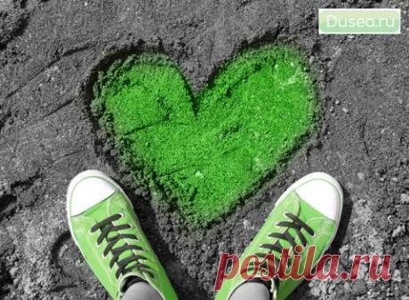 Годовщины свадеб по годам: названия дат и традиционные подарки | Dusea.ru | Первый женский