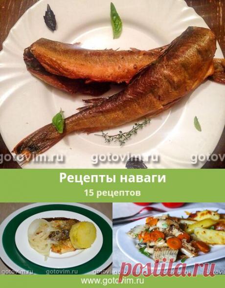 Рецепты наваги, 15 рецептов, фото-рецепты Для наваги подходят те же рецепты, что и для трески, т.к. это рыбы одного семейства. Для приготовления навагу чистят, филируют или запекают целиком. В большинстве рецептов блюд из наваги рыбу жарят, запекают или отваривают.