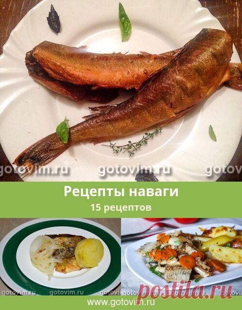 Рецепты наваги, 15 рецептов, фото-рецепты Для наваги подходят те же рецепты, что и для трески, т.к. это рыбы одного семейства. Для приготовления навагу чистят, филируют или запекают целиком. В большинстве рецептов блюд из наваги рыбу жарят, запекают или отваривают.