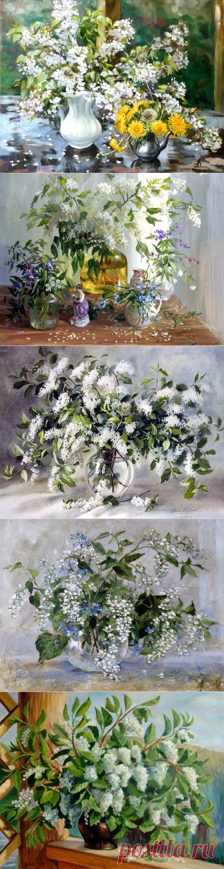 ЧЕРЕМУХА ДУШИСТАЯ...