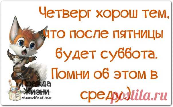 Веселые мысли в картинках для хорошего настроения на весь день