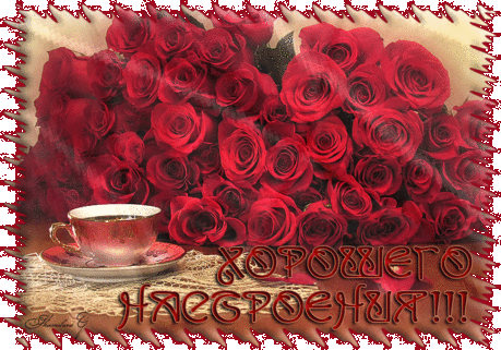 18369738.gif (800×559)